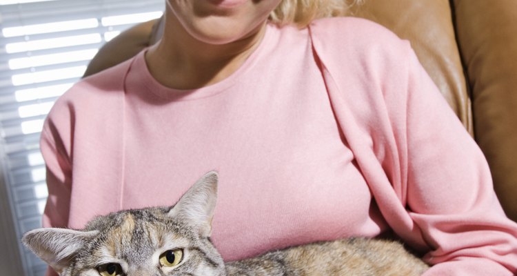 Afagar o seu gato enquanto estiver no seu colo pode deixá-lo tranquilo para cortar as garras