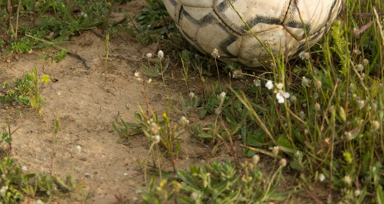 Roundup can eliminate weeds like these.