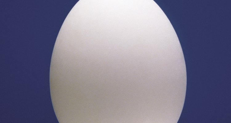 Comúnmente, los huevos de gallina del supermercado son usados cómo decoración de Pascua.