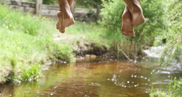 Streams and rivers are where the larvae of black flies develop.