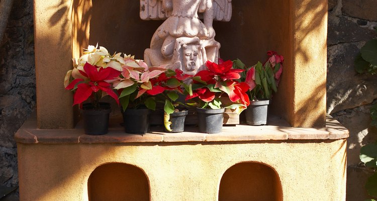 Mix your own cement to make original garden ornaments.
