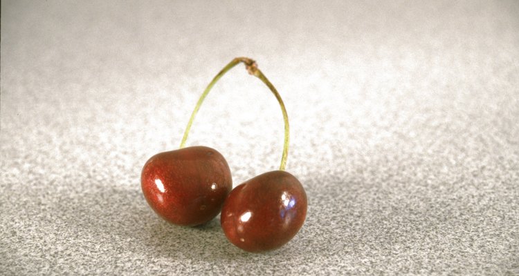 How to grow cherry trees from pits