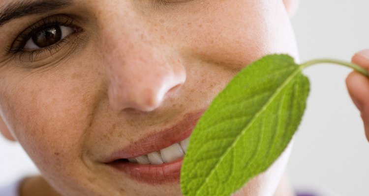 Mint can give off a pleasant smell to humans whilst deterring insects