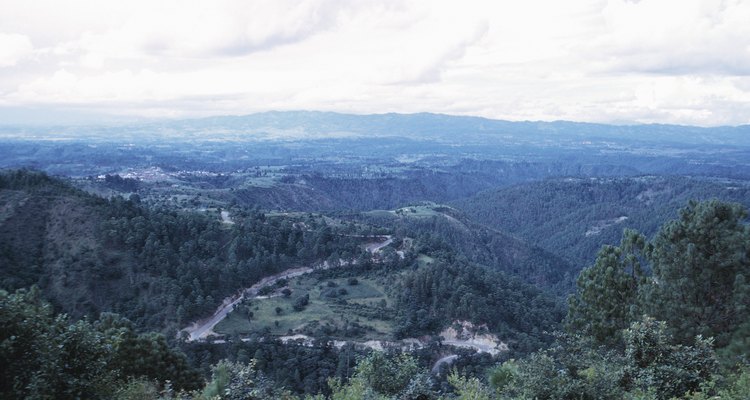 Paisajes de densos bosques nubosos desde escarpados senderos para quien guste del turismo de aventura.