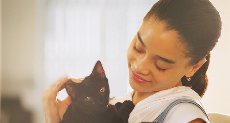 Deixe seu gato sempre hidratado, principalmente quando ele estiver doente