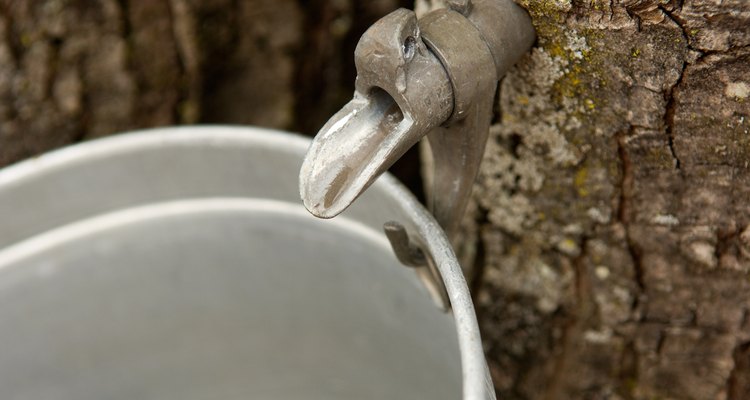 Commercially manufactured metal tree tapping spiles eventually came into use.
