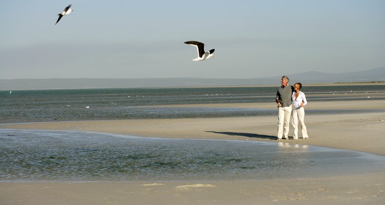 Principiantes y expertos observadores de aves han hecho muchas peregrinaciones a la costa del Golfo de Alabama