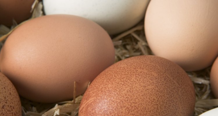 Eggs can taste delicious if cooked properly to stop the smell.