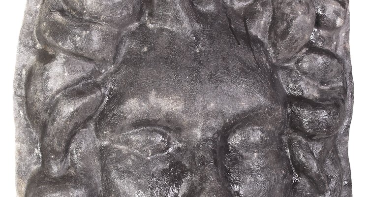The stories of Medusa are varied, but all agree she had snakes for hair.