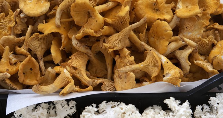How to Cook Dry Chanterelles
