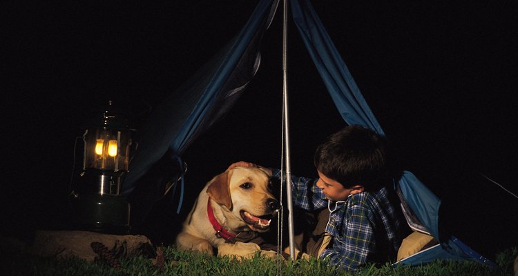 Los animales están permitidos en la mayoría de los campings cerca de Grand Teton National Park.