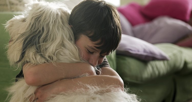 Si tu mascota tiene una úlcera estomacal deberá recibir tratamiento veterinario de inmediato.