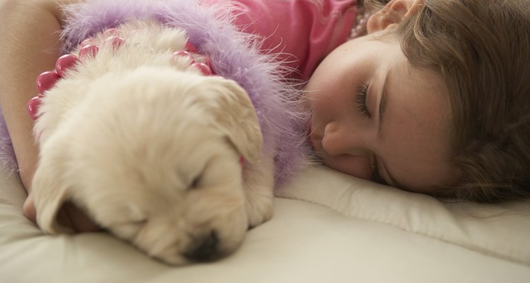 Sedantes naturales para los perros.