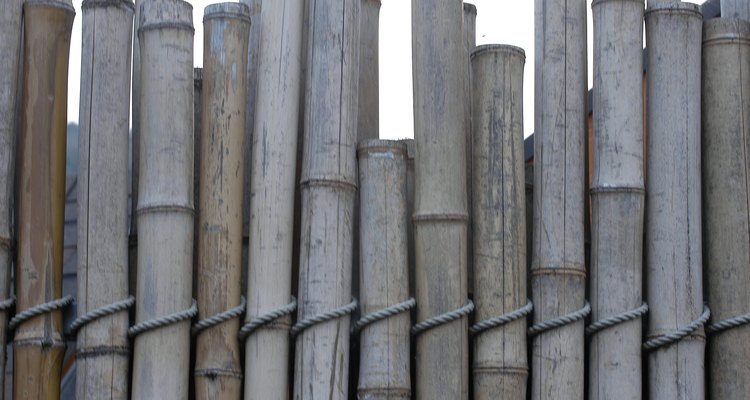 Como un recurso renovable, el bambú es una opción ecológica.