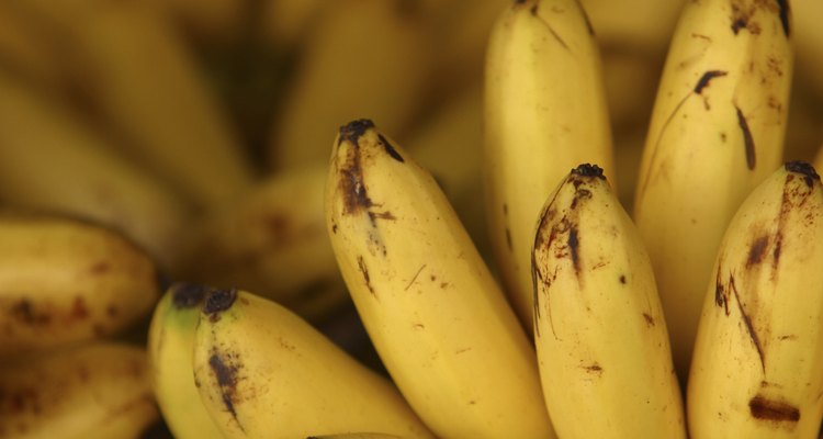 As bananas são ricas em etileno, um hormônio que induz a maturação