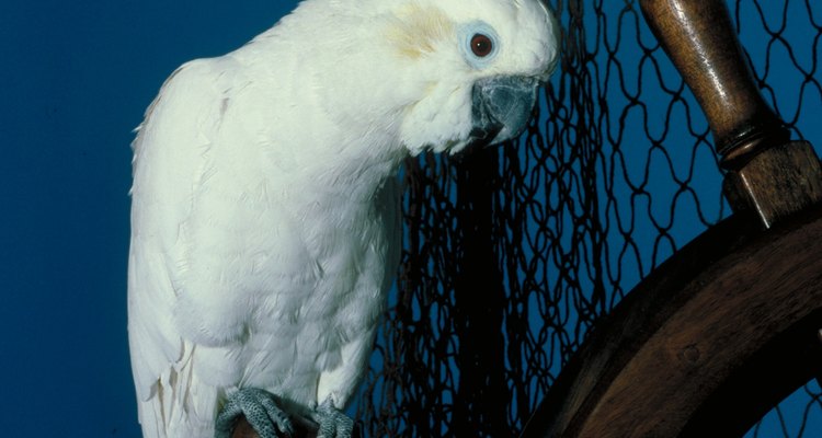 Mist bird netting