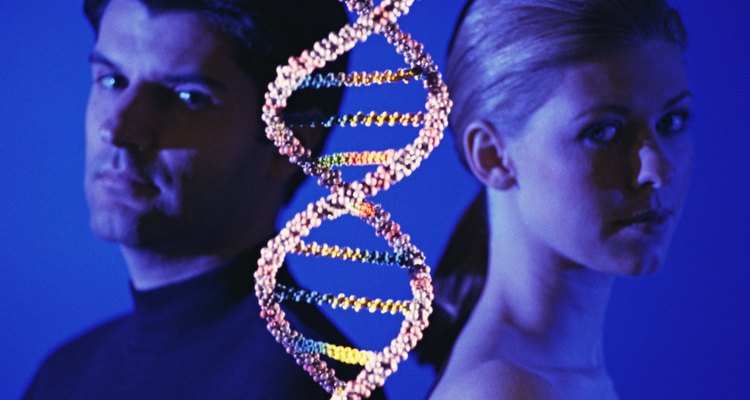 El ADN determina en gran parte el color del cabello.