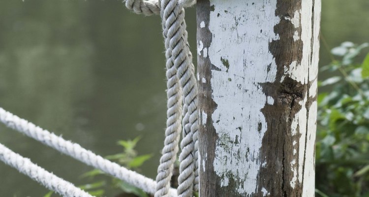 A água acumulada acelera a decomposição da madeira