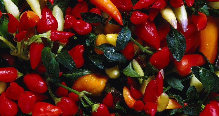 Variety of peppers