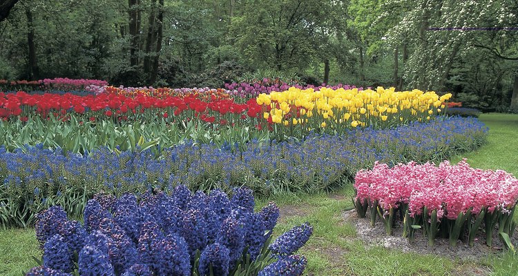 Level flower beds so they do not appear lumpy.