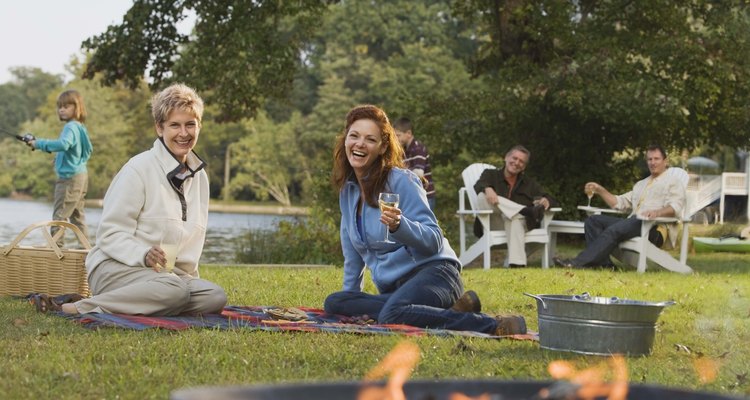 Gnats can ruin a picnic.