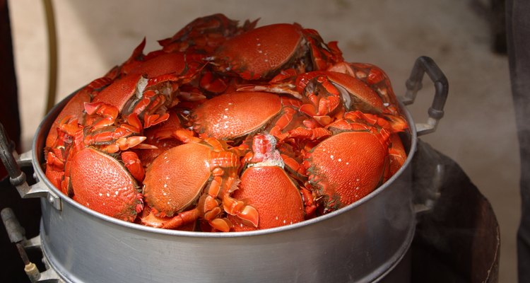 Los cangrejos de río son un elemento esencial en la cocina tradicional de Louisiana.