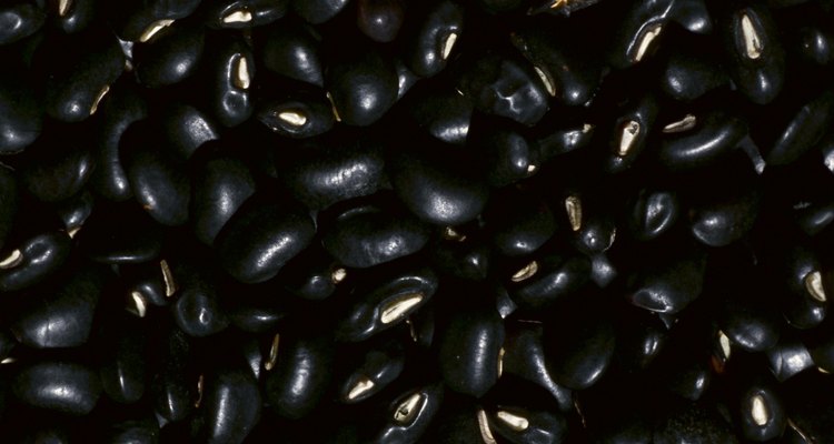 Los frijoles negros pueden servirse refritos o enteros.