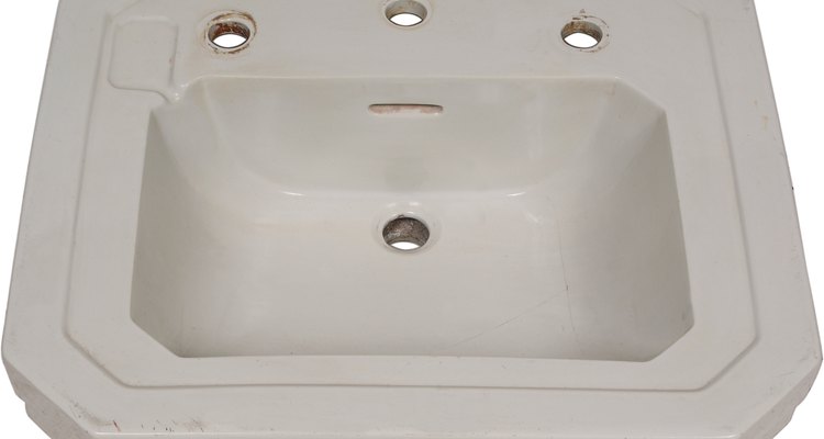 Los collembola generalmente están en las zonas húmedas como los lavamanos.