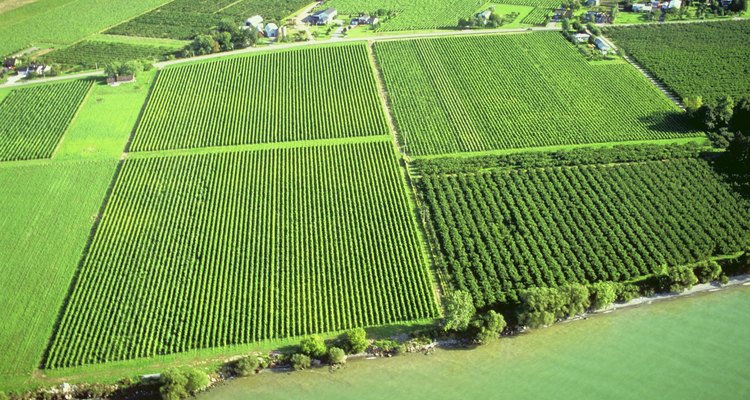 Los productos con certificado USDA organic son vendidos generalmente a precios más elevados que los convencionales, creando un incentivo para que los agricultores se certifiquen.