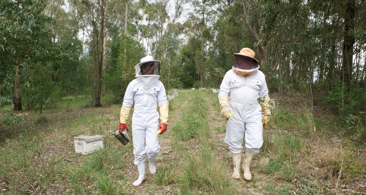 Roupas de apicultura ajudam a manter o usuário a salvo de ser picado