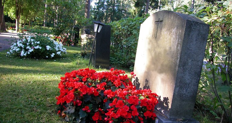 A menudo, se pueden observar geranios en las tumbas.