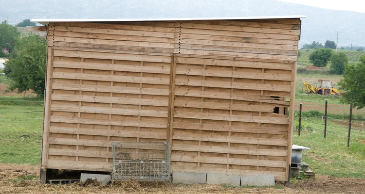 Wooden sheds are susceptible to rot, but you can replace or reinforce rotten studs to make them like new again.