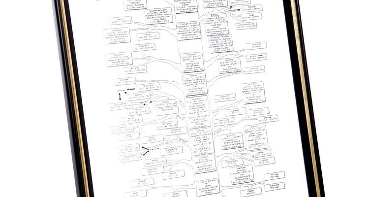 Genealogia é a busca pelos seus antepassados familiares