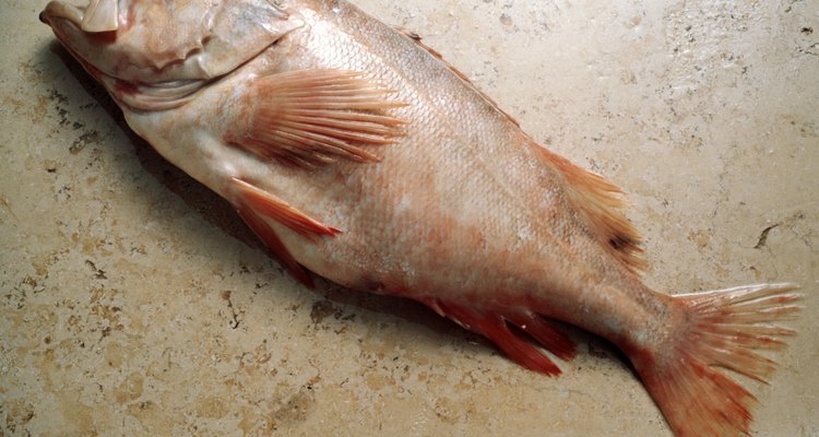 How to Cook Redfish on a Grill Our Everyday Life