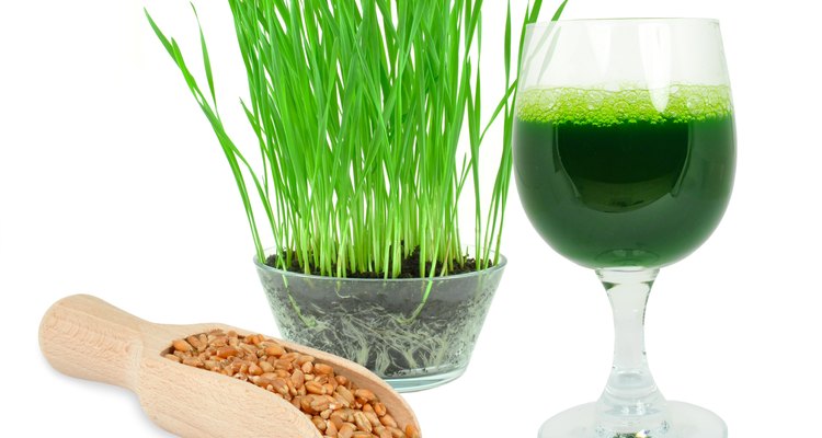 wheatgrass juice