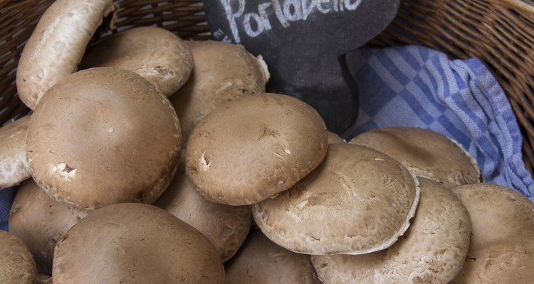 Hongos portobello recién cosechados.