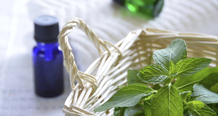 essential oils with mint