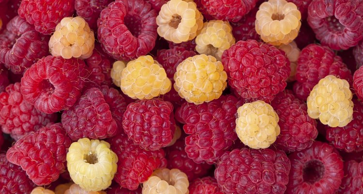 Raspberries_2