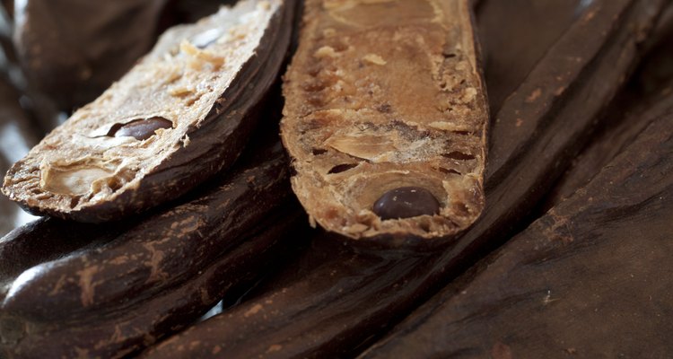 Carob Pods and Beans