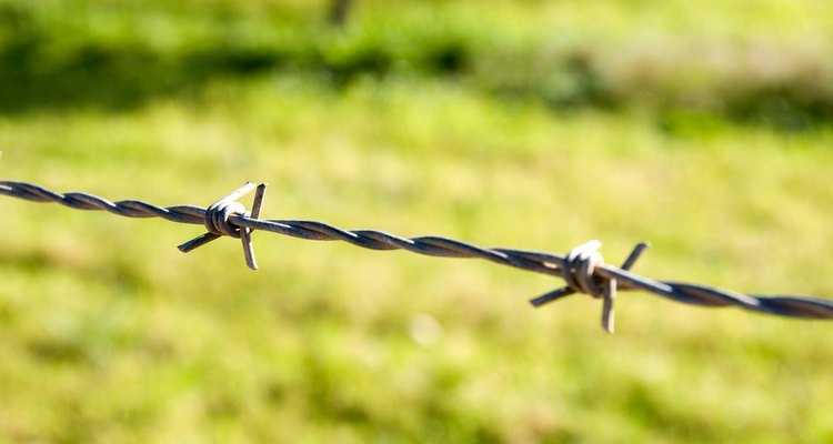 Barbed wire fencing is sharp, causing cuts if rubbed up against.
