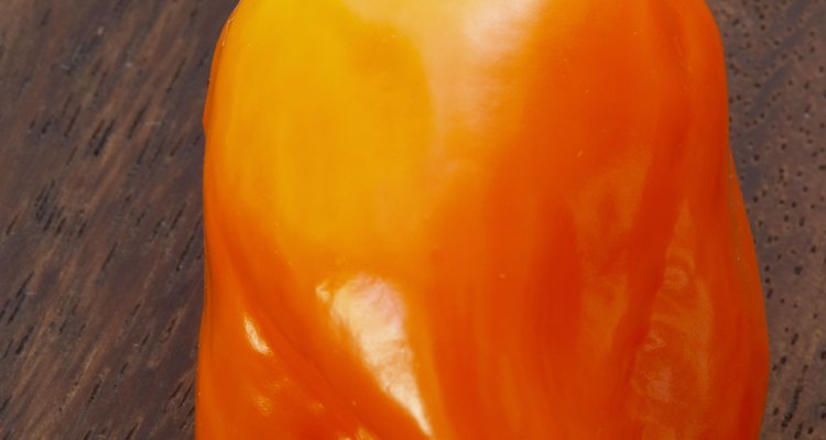 Los pimientos habaneros normalmente crecen verdes y se vuelven naranjas o rojos al madurar.