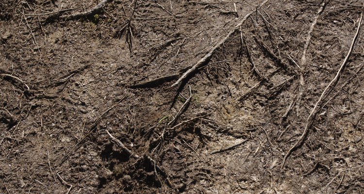 El estiércol repone los nutrientes del suelo.
