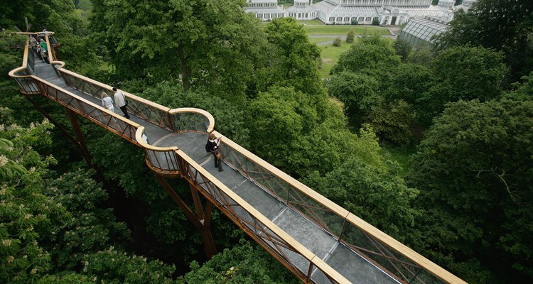 Kew Walkway: não é recomendada para aqueles que tem vertigem