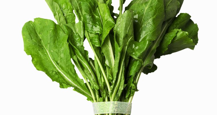 Combina la rúcula con otros vegetales de hojas para obtener una ensalada sabrosa.