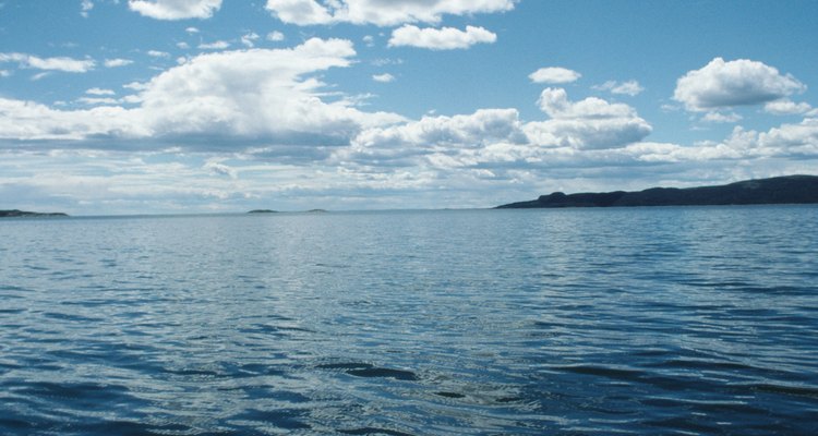 Los oceanógrafos estudian los océanos y las aguas costeras.