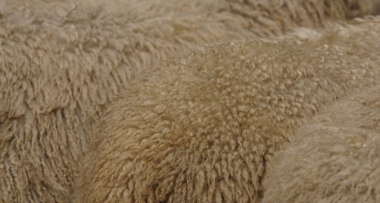 La lana está hecha de la lana de oveja o cabras y que era y es utilizada en la ropa de día, trajes de mañana y el ropa formal de tarde, y en todas las estaciones.