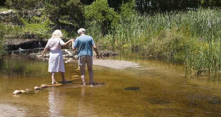 Only certain plants can grow by rivers and thrive in constantly moist soil.
