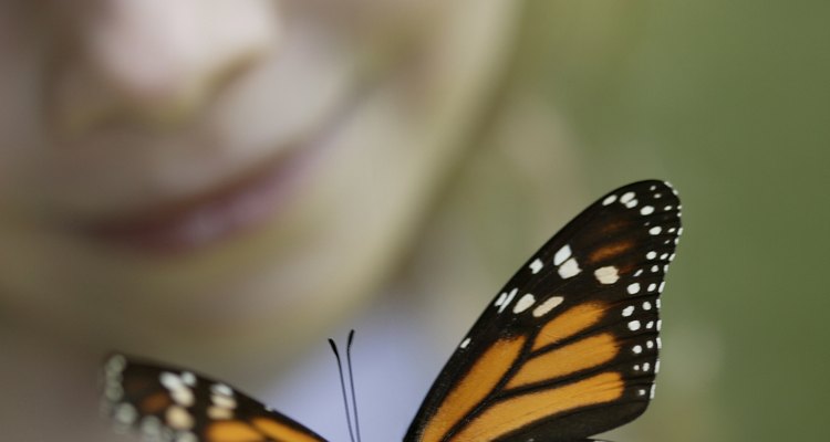 Una visita a un jardín de mariposas anima a los niños a observar mariposas reales en sus hábitats naturales.