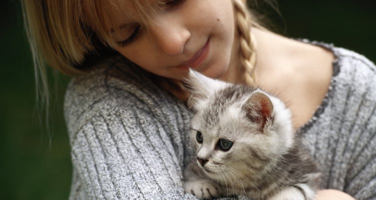 Diminua o desconforto do seu gatinho com um tratamento caseiro