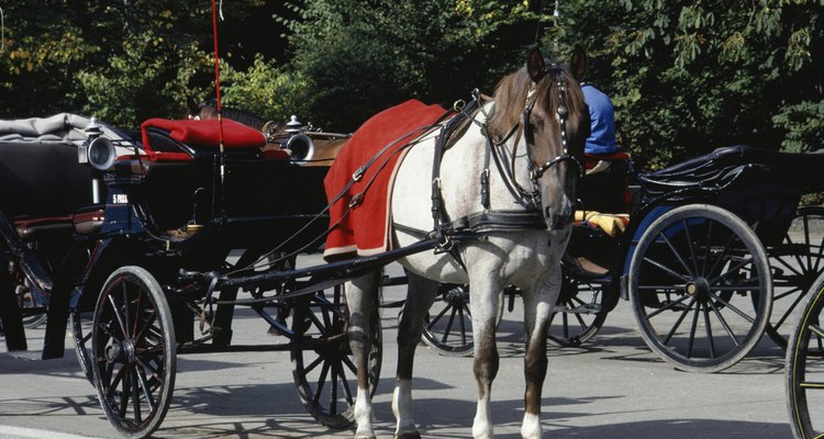 Los planos de carros de caballo deben ser seguidos al pie de la letra para obtener la máxima seguridad tanto para el caballo, como para el conductor.